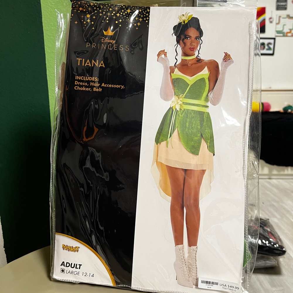 Princess Tiana Adult Costume